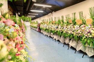 花篮网爆料最新网站大全